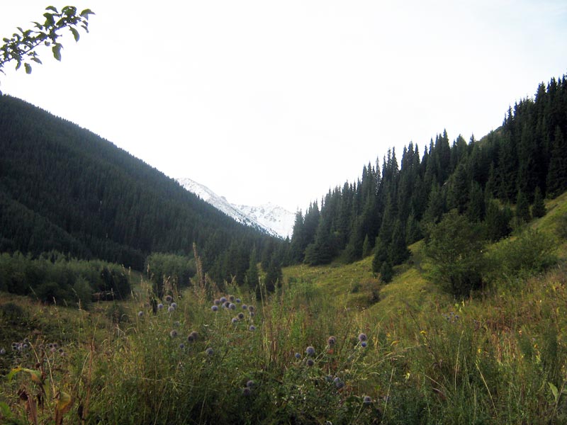 8-9.09.2009-056.jpg