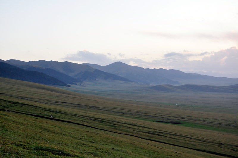 _dsc0007.jpg