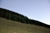 _dsc0012_t1.jpg