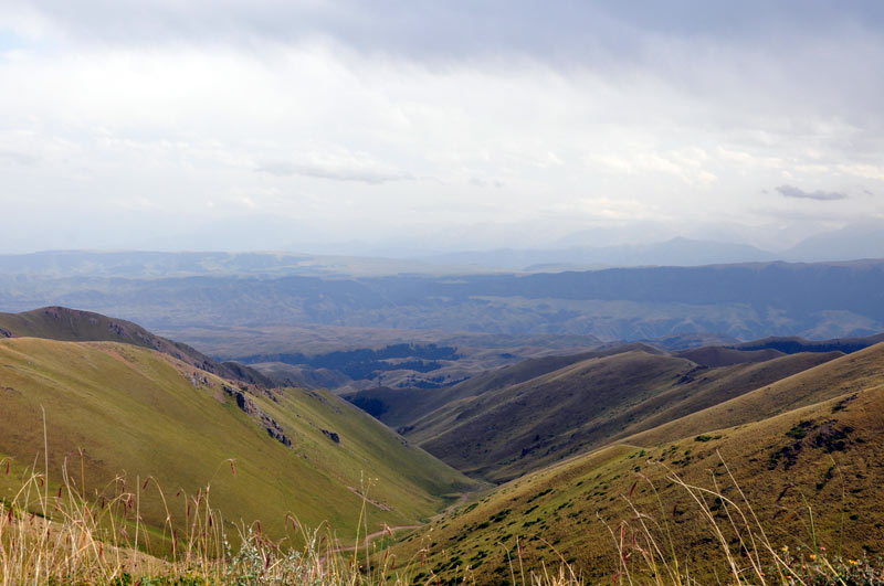 _dsc0112.jpg