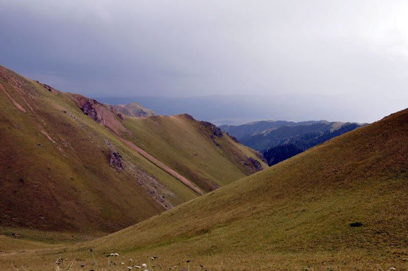 _dsc0117.jpg