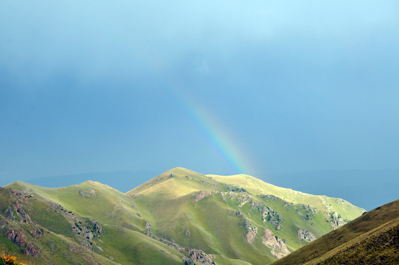 _dsc0121.jpg