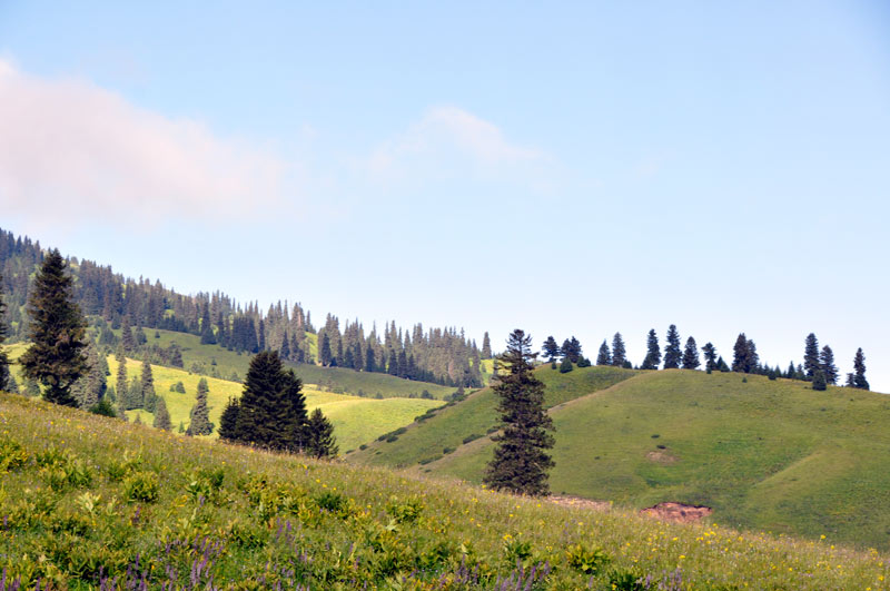 _dsc0202.jpg
