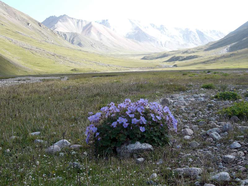 dolina-rk.jpg