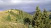 dsc00343_t1.jpg