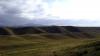 dsc00351_t1.jpg
