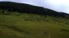 dsc00369_t1.jpg