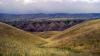 dsc00381_t1.jpg