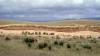 dsc00409_t1.jpg