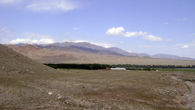 dsc00430.jpg