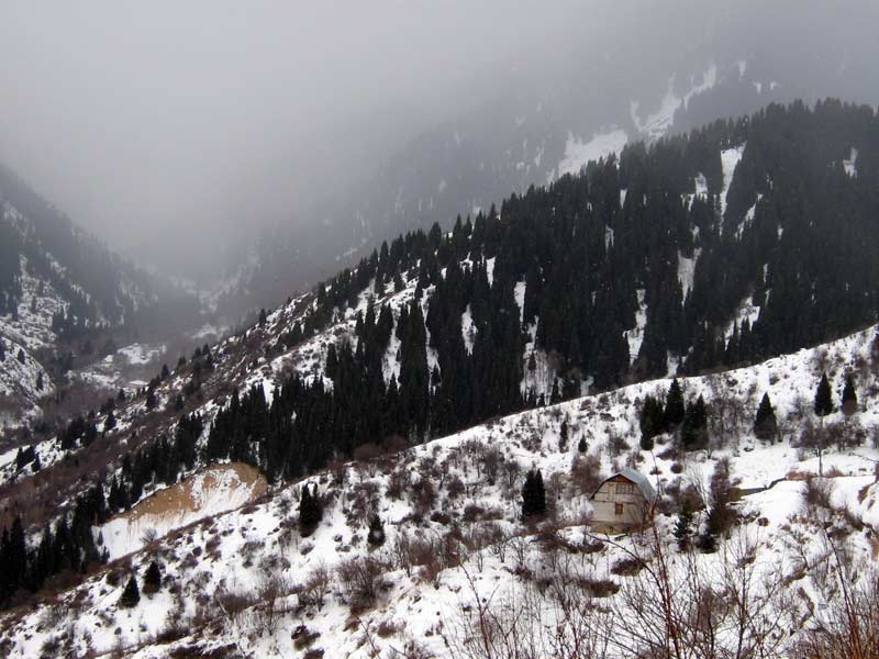 img_0018.jpg