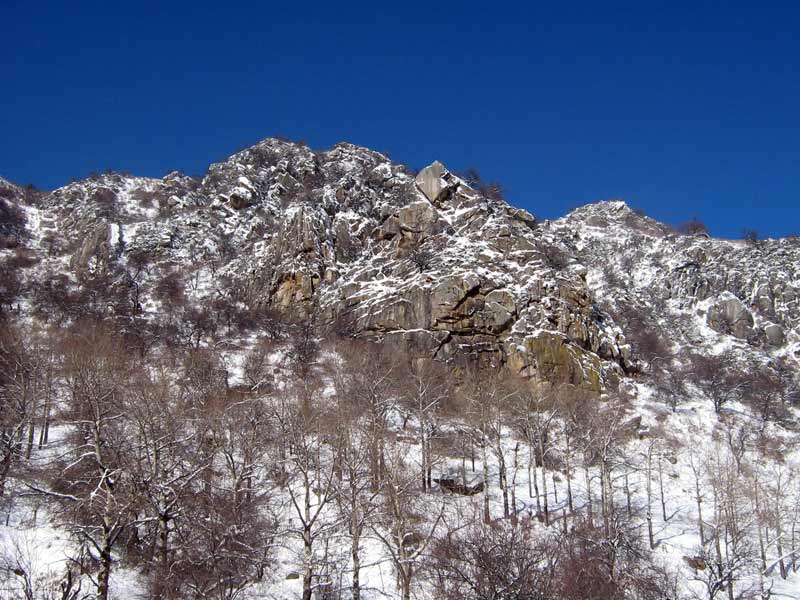 img_0372.jpg