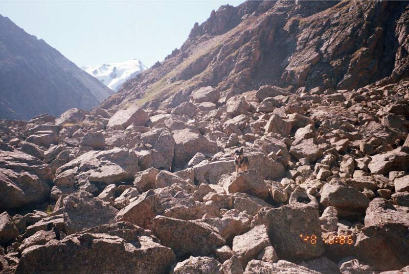 malysh-na-kamnyah.jpg