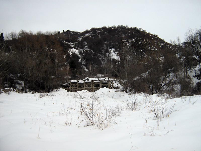 novyi-god-i-aksaiskoe-2010-001.jpg