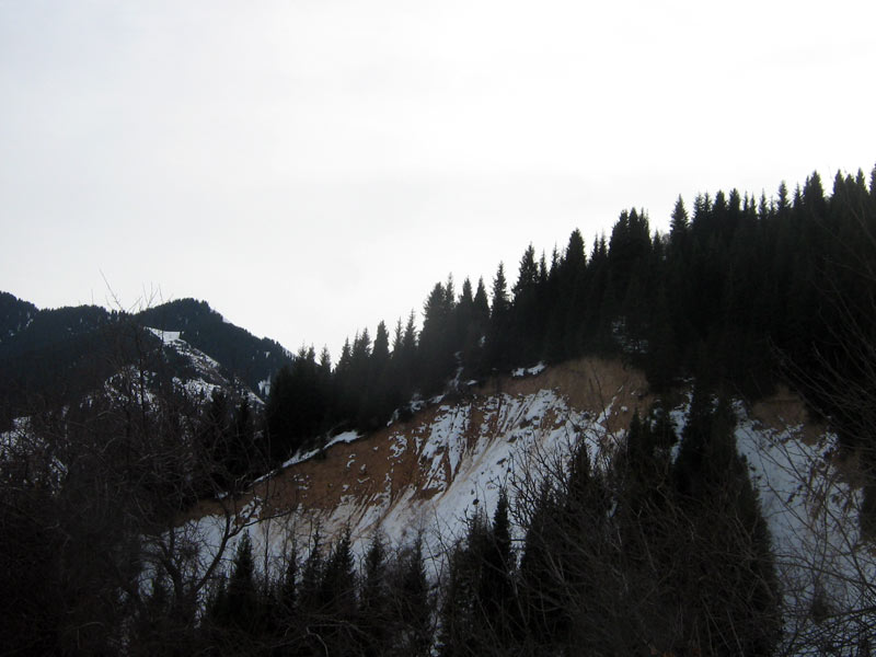 novyi-god-i-aksaiskoe-2010-042.jpg