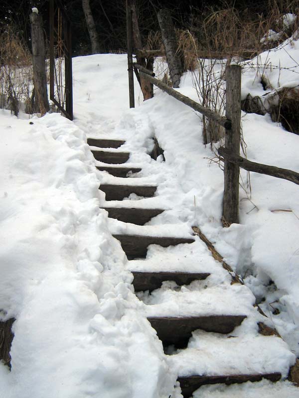 novyi-god-i-aksaiskoe-2010-055.jpg