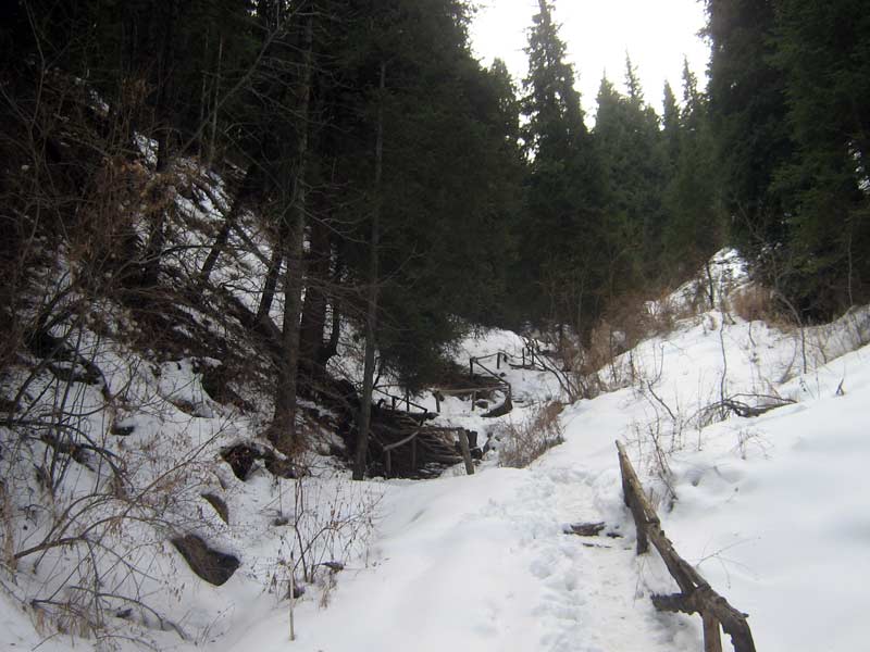 novyi-god-i-aksaiskoe-2010-057.jpg