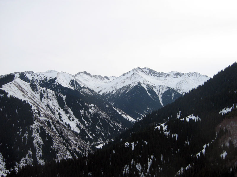 novyi-god-i-aksaiskoe-2010-077.jpg