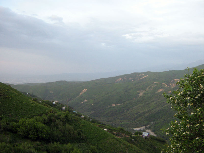 vsyakoe-061.jpg