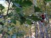 15-18.09.2009-042_t1.jpg