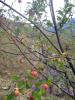 1-2.10.2009-053_t1.jpg