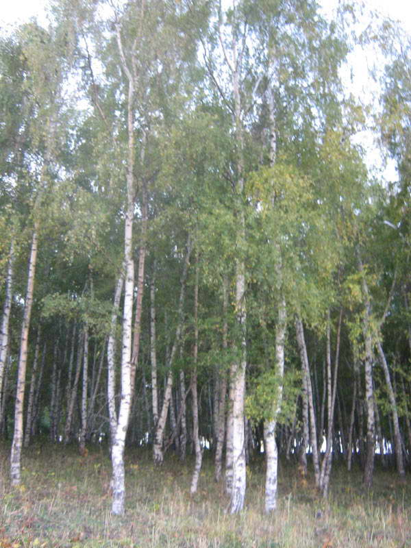 15-18.09.2009-001.jpg