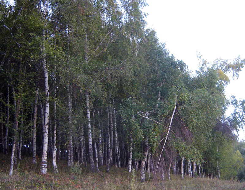 15-18.09.2009-002.jpg