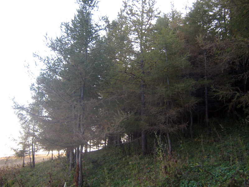 15-18.09.2009-003.jpg