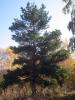 23-24.09.2009-060_t1.jpg