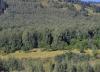 27.08.2009-018_t1.jpg