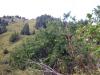 8-9.09.2009-072_t1.jpg