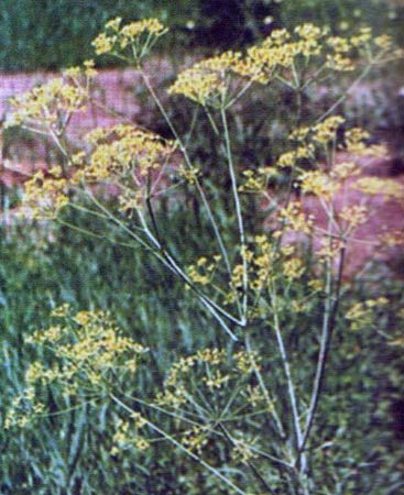 m-023n.jpg
