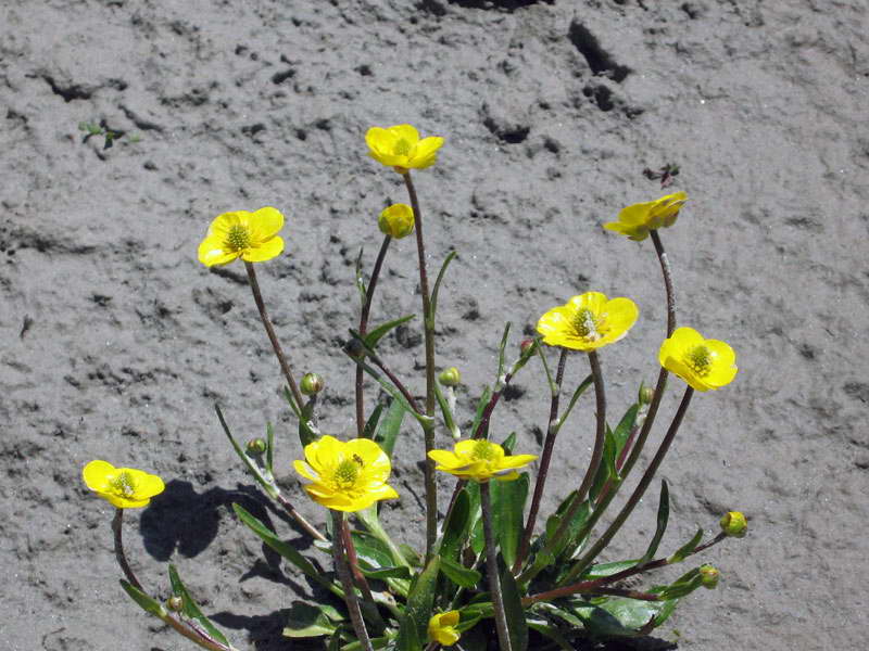 rty005.jpg