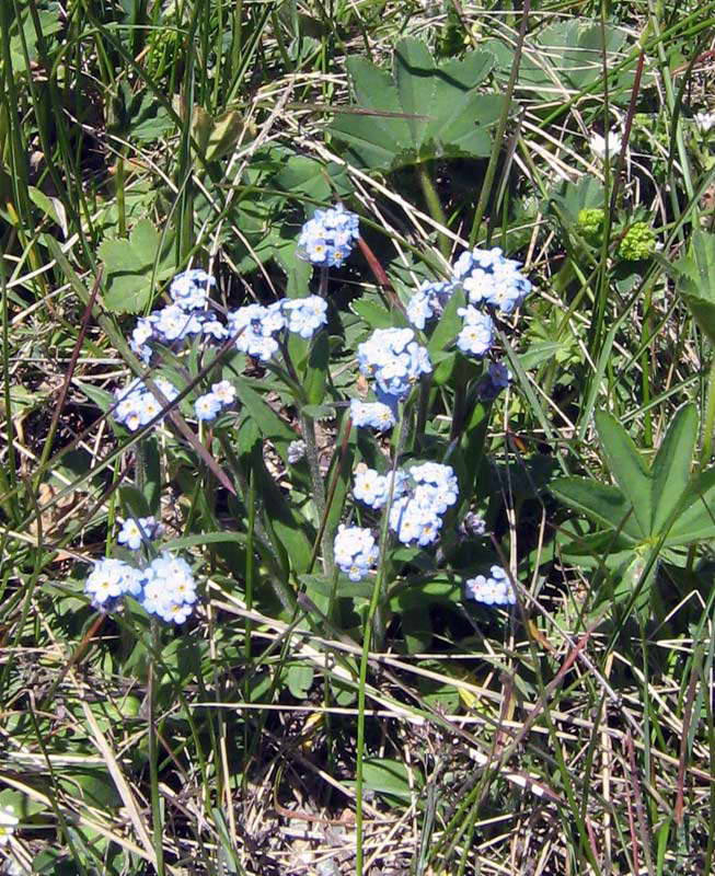 sd024.jpg