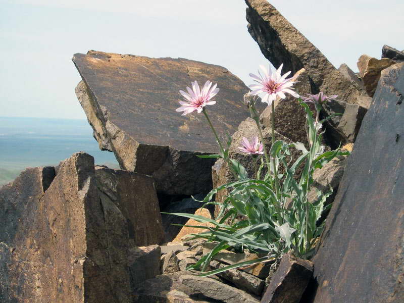 zz21.04.2007-010.jpg