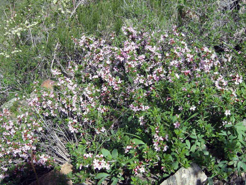 zz21.04.2007-019.jpg