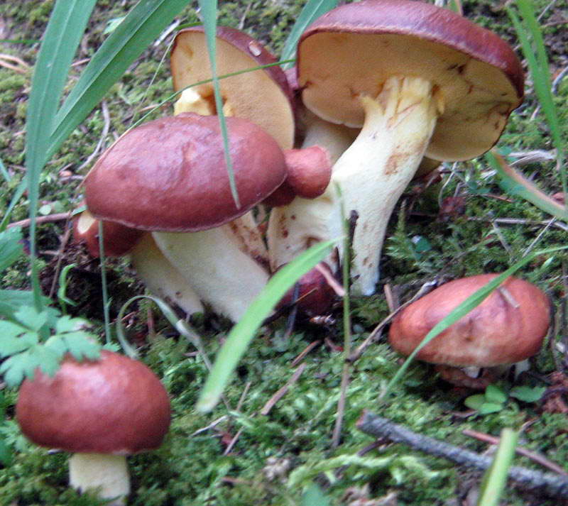 15-20.08.2009-029.jpg