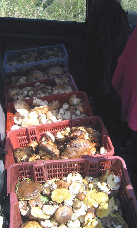 15-20.08.2009-100.jpg