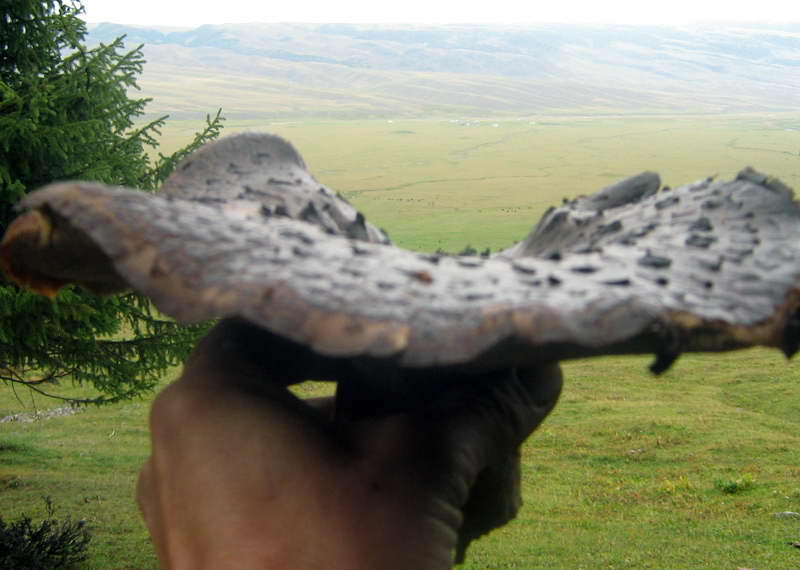 26.08.2009-040.jpg