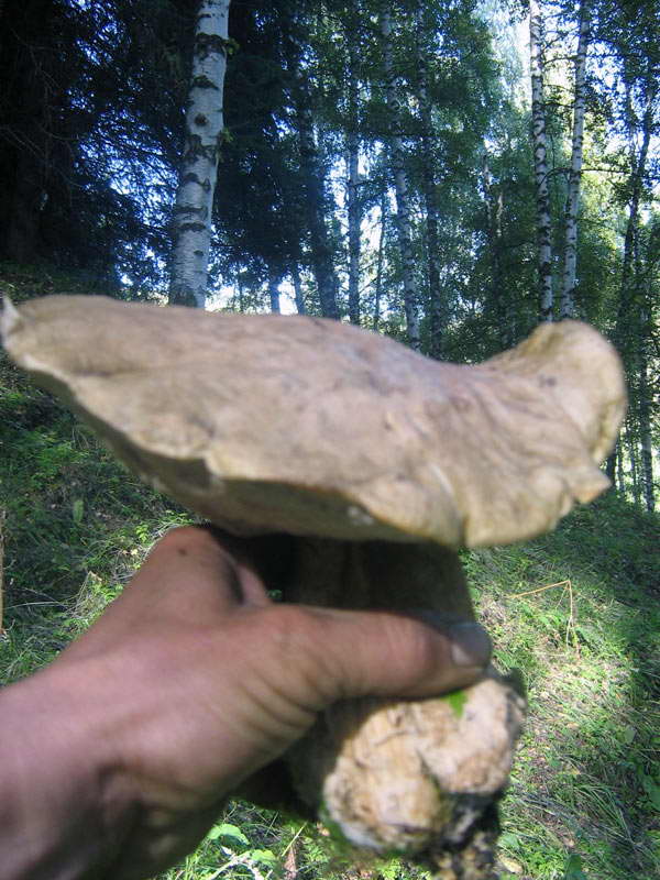 28-30.08.2009-018.jpg