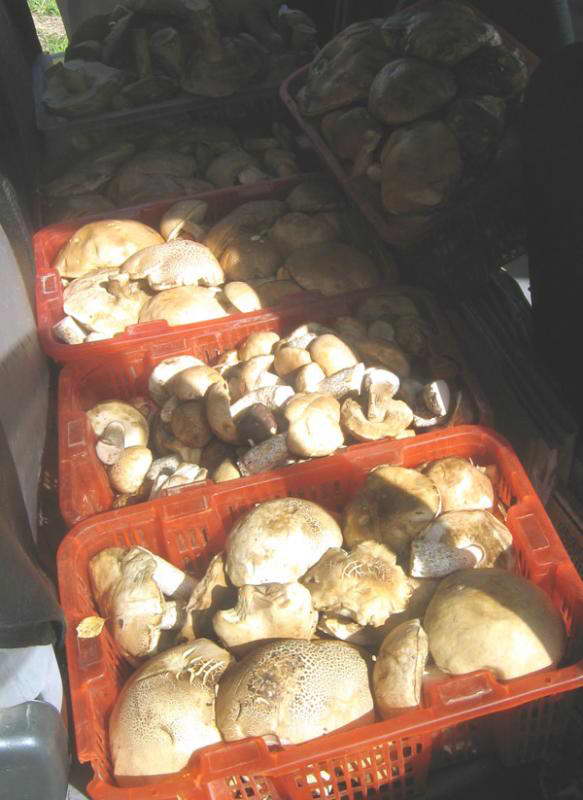 28-30.08.2009-025.jpg