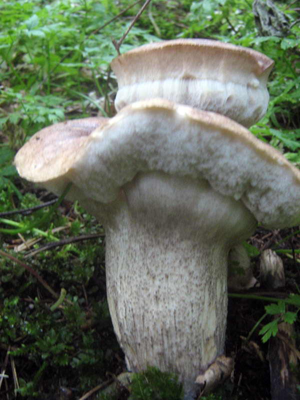 31.08-3.09.2009-022.jpg