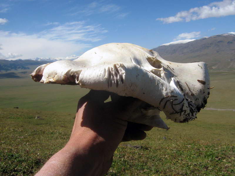 31.08-3.09.2009-146.jpg