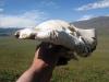 31.08-3.09.2009-146_t1.jpg