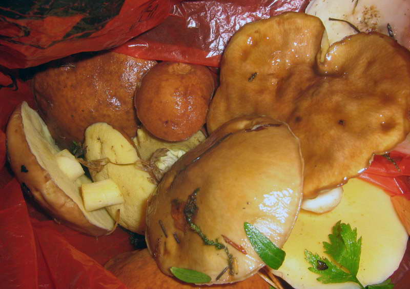 31.08-3.09.2009-221.jpg