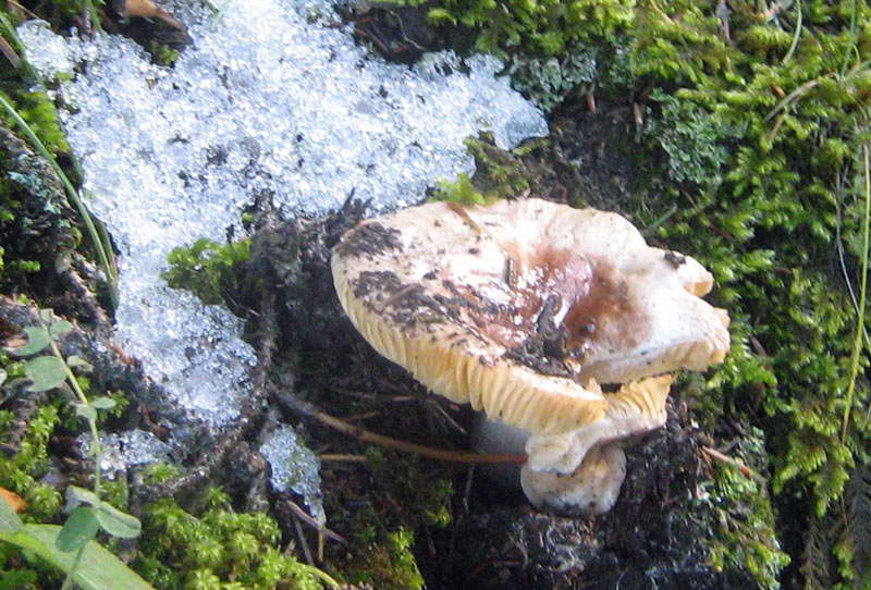 8-9.09.2009-136.jpg