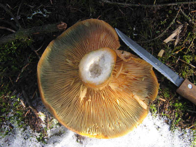 8-9.09.2009-163.jpg
