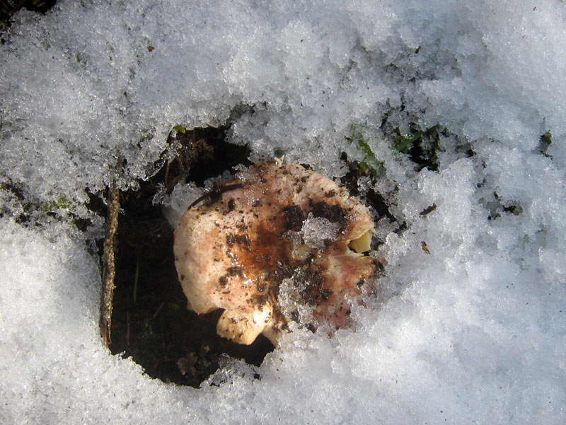 8-9.09.2009-164.jpg