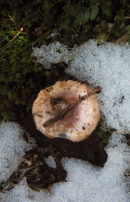 8-9.09.2009-168.jpg