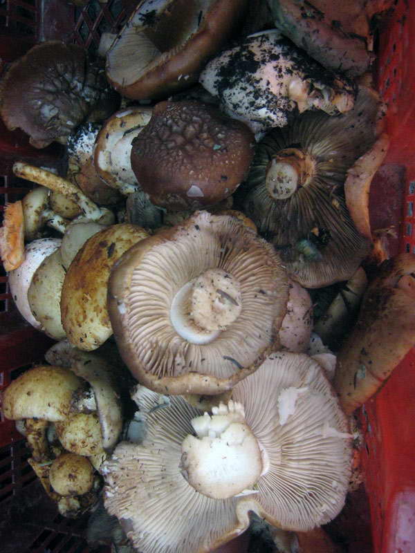 8-9.09.2009-229.jpg